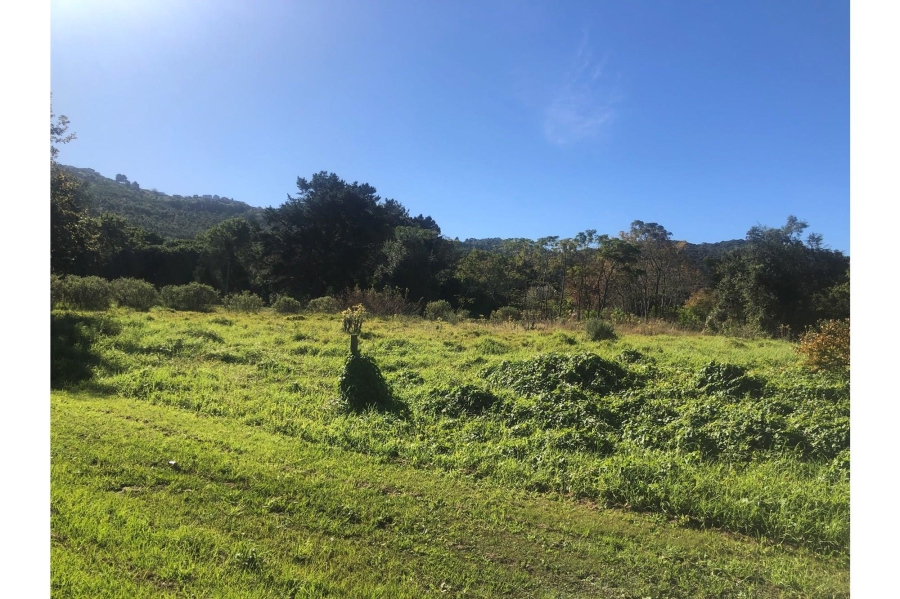0 Bedroom Property for Sale in Old Place Western Cape